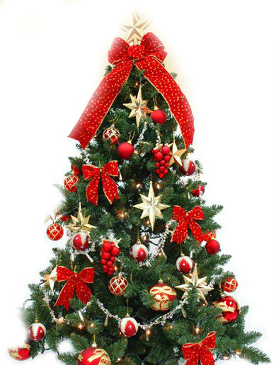 もみの木 クリスマスツリーを格安販売しているネットショップは